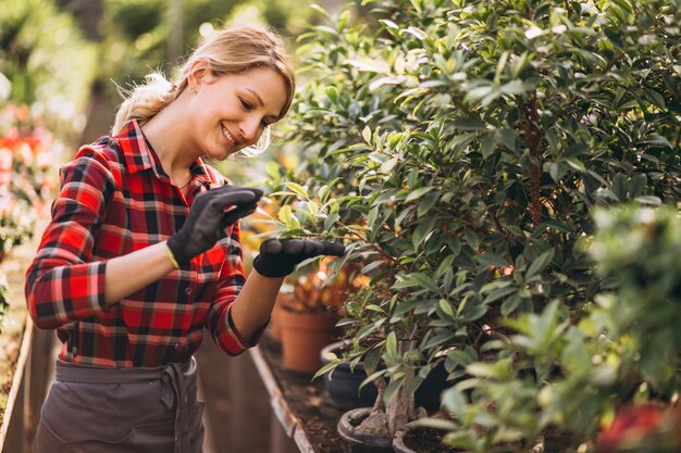 Woman gardner in a greenhouse