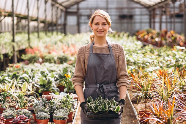 Woman gardner looking after plants in a greenhouse