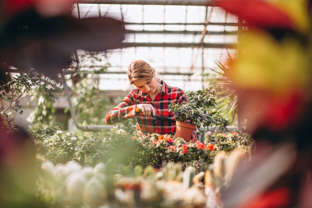 Женщина-садовник ухаживает за растениями в теплице