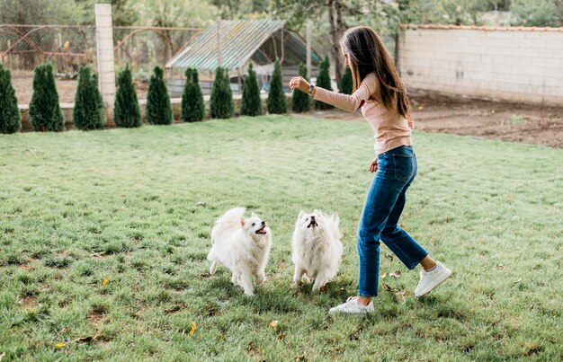 かわいい犬にいくつかの御馳走を与える女性