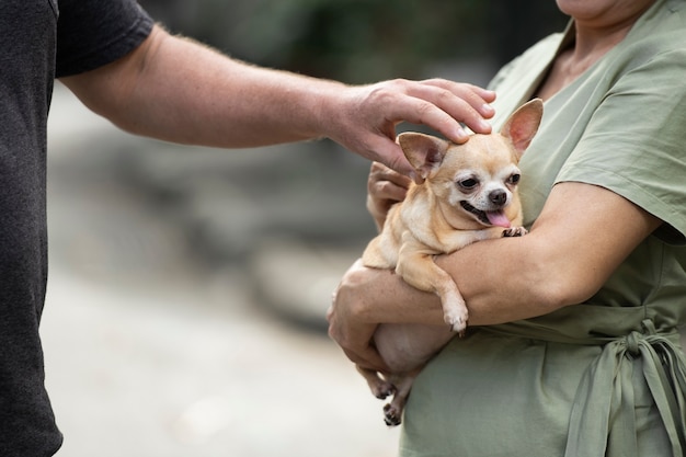 犬と散歩に行く女性