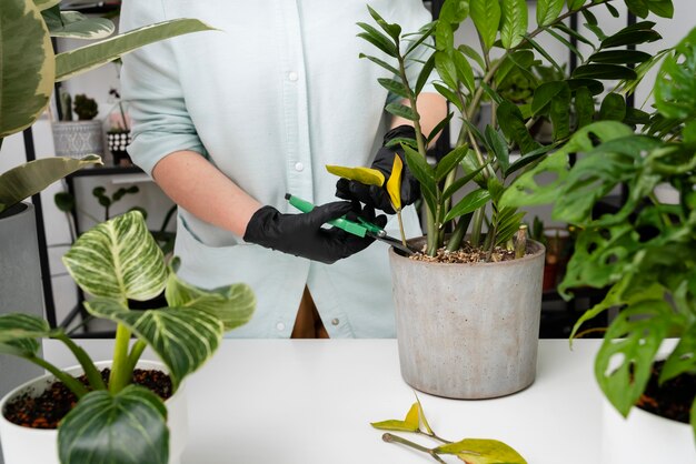 Woman growing plants close up