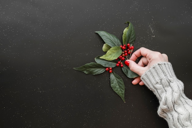 Woman hand holding green twigs of plant with berries