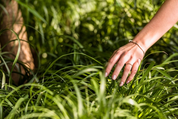 Free photo woman hand near green leaves