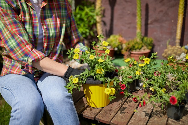 Женщина вручную сажает цветы петунии в летнем саду дома