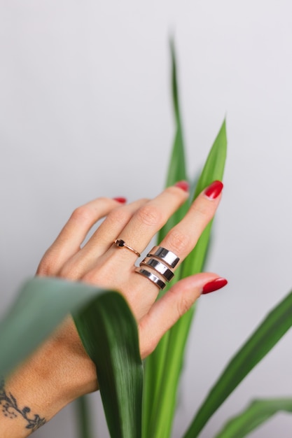 Woman hand with red manicure and two rings on fingers, on beautiful green palm leaf tropical. Gray wall behind.