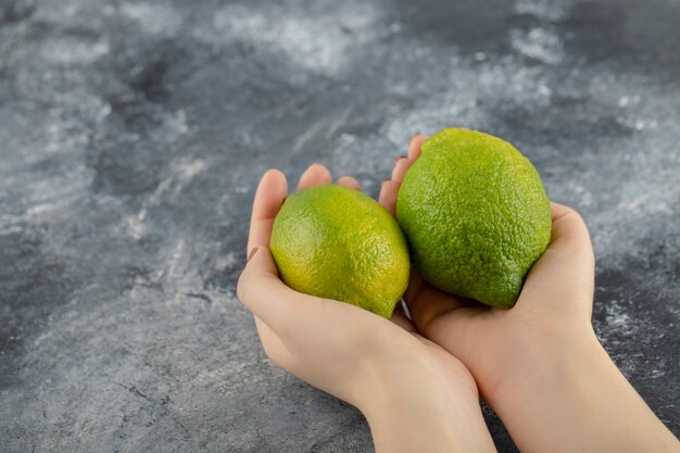 Woman hands holding two green fresh lemons . 