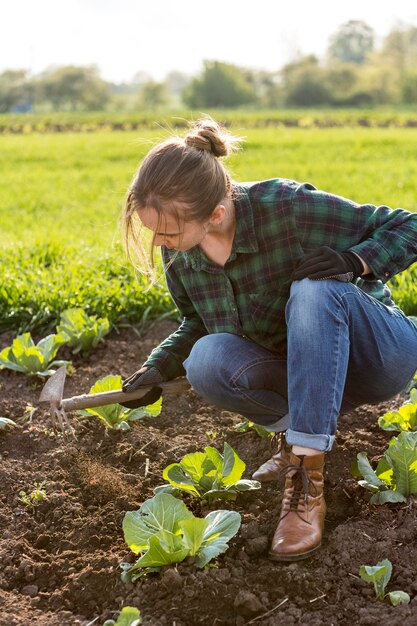 野菜を収穫する女性