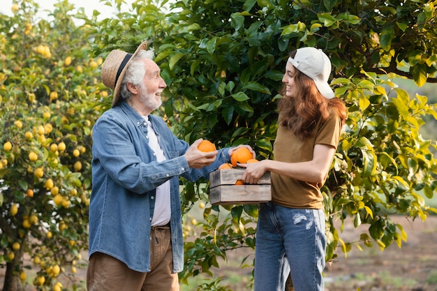 Woman helping her dad get some oranges from the trees in the garden