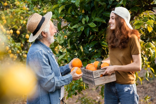 Woman helping her dad get some oranges from the trees in the garden