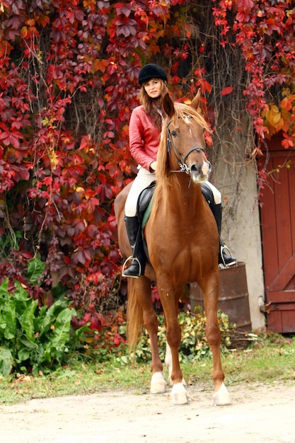 Woman and her brown horse