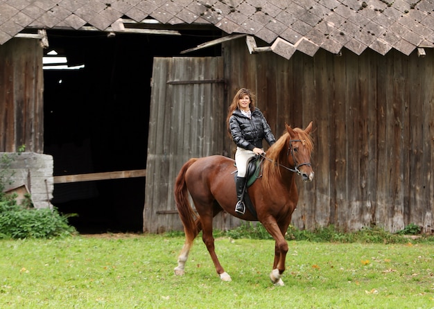 Woman and her brown horse