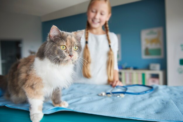 獣医の女性と彼女の猫