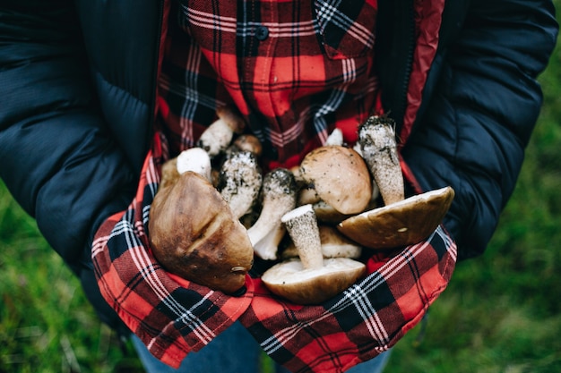 Free photo woman hold fresh picked wild mushrooms