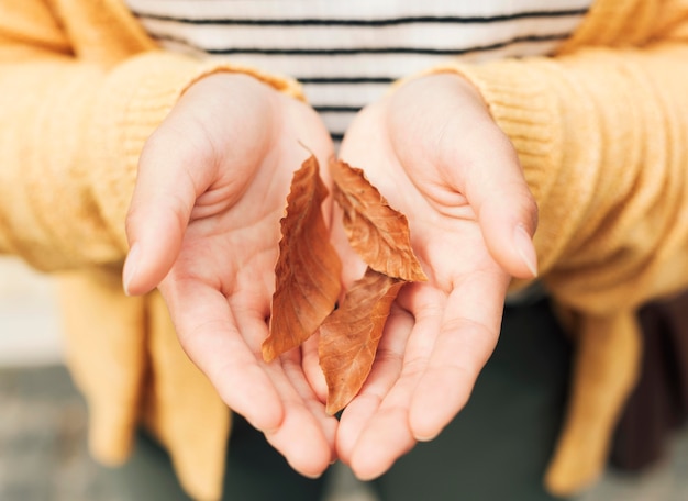 Free photo woman holding autumnal leaves close-up