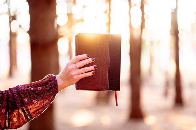 woman holding a book in the forest