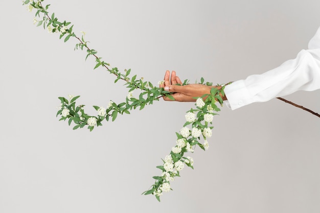 Free photo woman holding a branch of snow willow flower