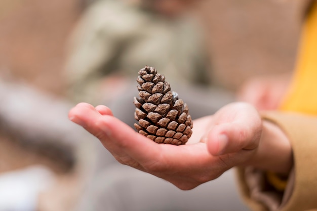 Woman holding a cone in her hand close-up