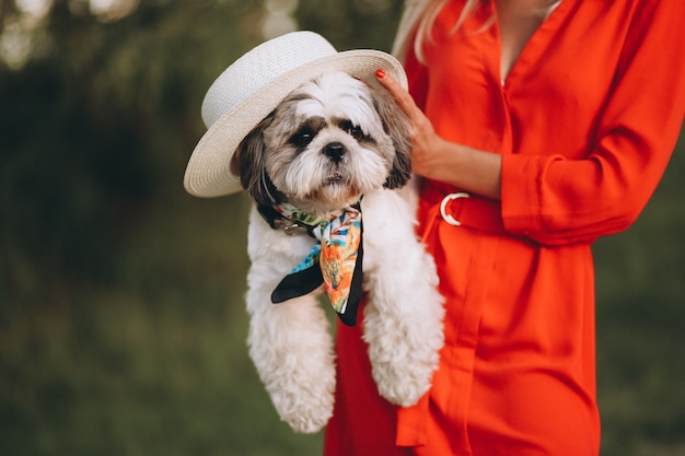 Woman holding cute dog on her hands