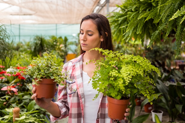 Woman holding flower pots in greenhouse