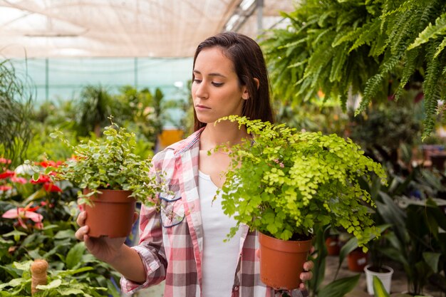 温室で植木鉢を保持している女性