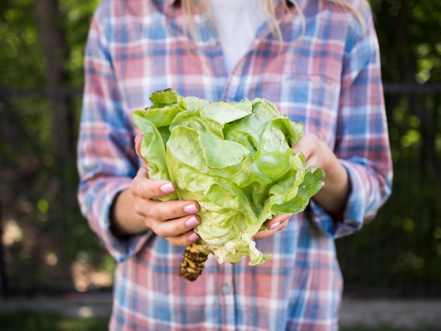 Woman holding a green cabbage