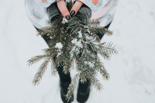 背景をぼかした写真に雪で緑の松の枝を保持している女性