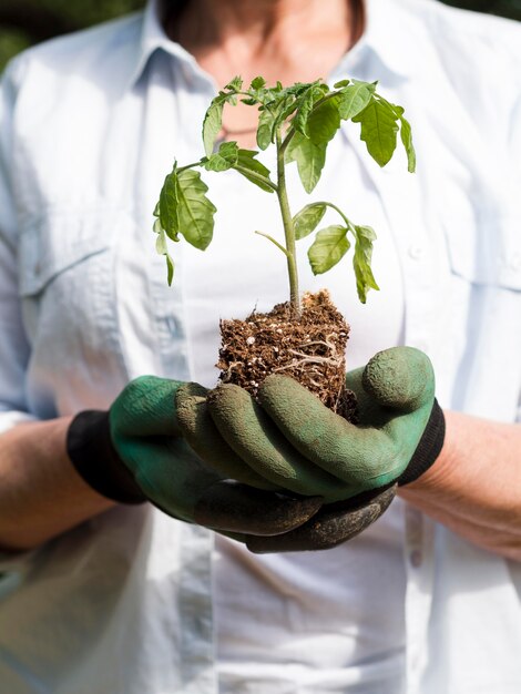 Woman holding a little plant in her arms