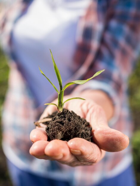 Woman holding a little plant in her hand