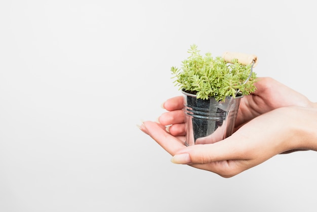 Woman holding metal flowerpot with copy space