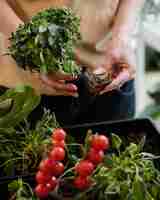 Free photo woman holding plant pot with exterior roots