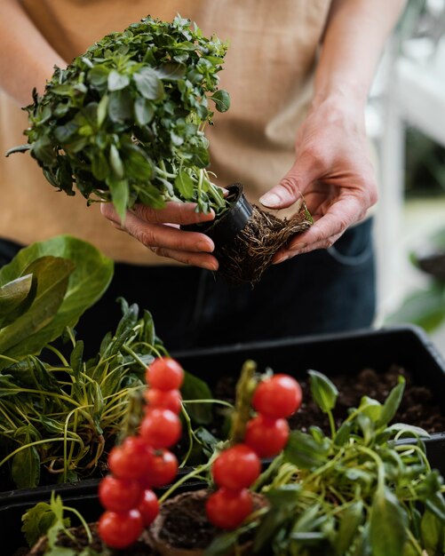 外部の根を持つ植木鉢を保持している女性