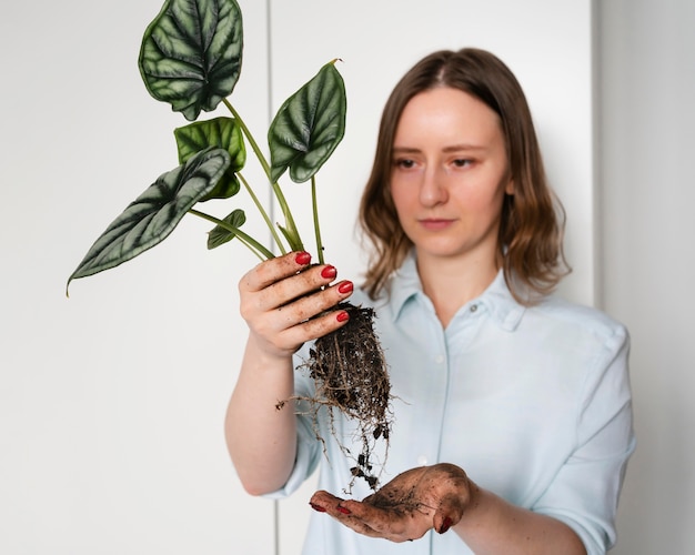 Woman holding plant with roots