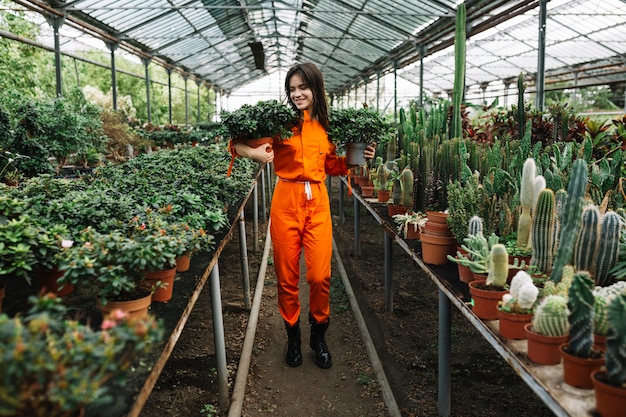 無料写真 女性、保有、鉢植え、植物、温室