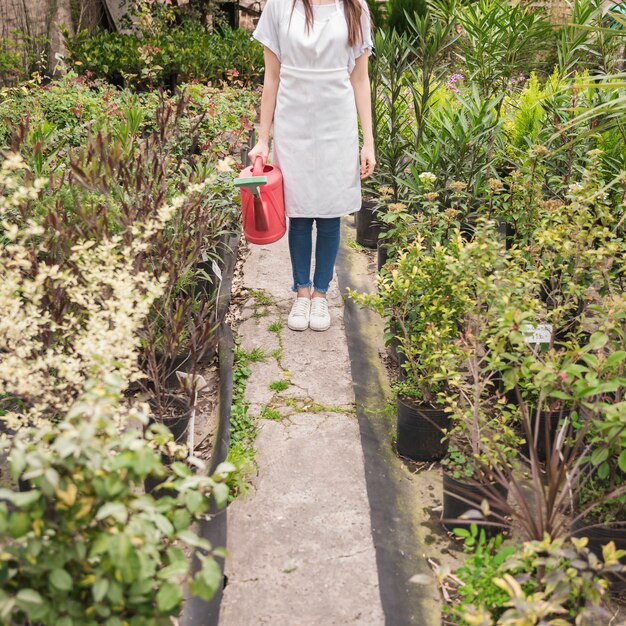 Woman holding red watering can near many plants in greenhouse