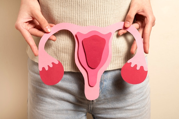 Woman holding reproductive system front view