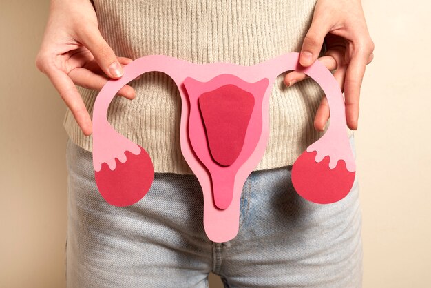 Woman holding reproductive system front view