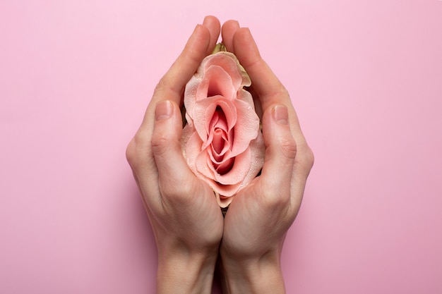 Woman holding rose in hands for reproductive system visualization
