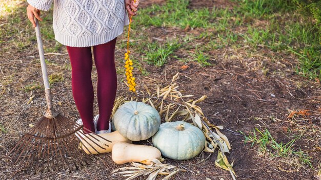 Woman holding sandthorn berries and rake near vegetables 