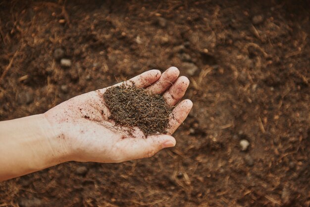 Woman holding soil in her hand