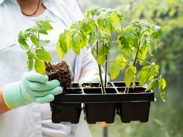 いくつかの植木鉢を保持している女性