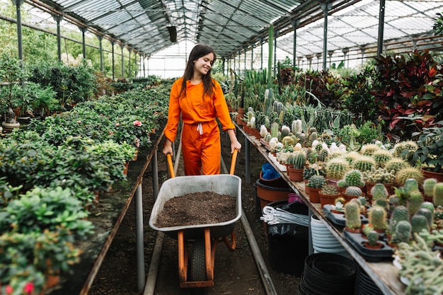 Woman holding wheelbarrow with soil in greenhouse
