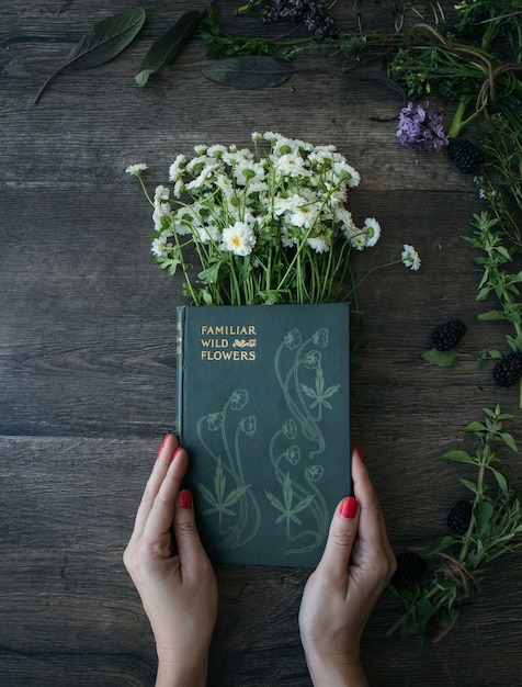 Foto gratuita la donna tiene il libro selvaggio dei fiori e selvaggio sulle margherite comuni sul pannello marrone