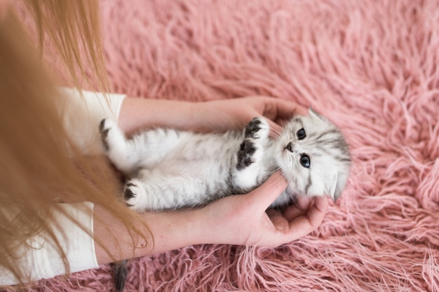 Woman holds funny grey kitten on her arms