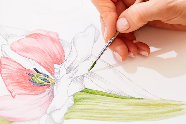 Woman is painting a tulip