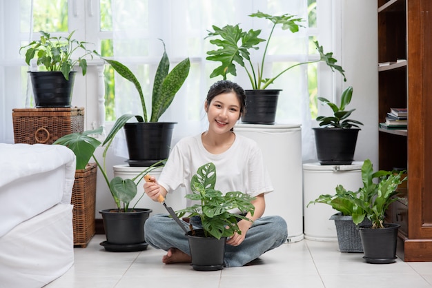 女性は座って家の中に木を植えています。