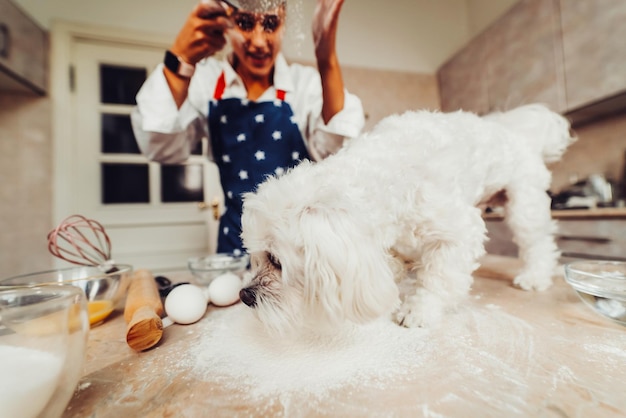 台所の女性が犬と一緒に小麦粉をふるいにかける