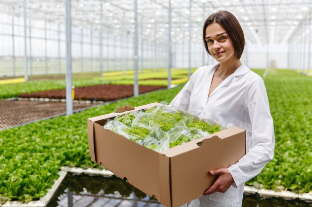 Женщина в лабораторном халате держит большую коробку с зеленым салатом, стоящим в теплице