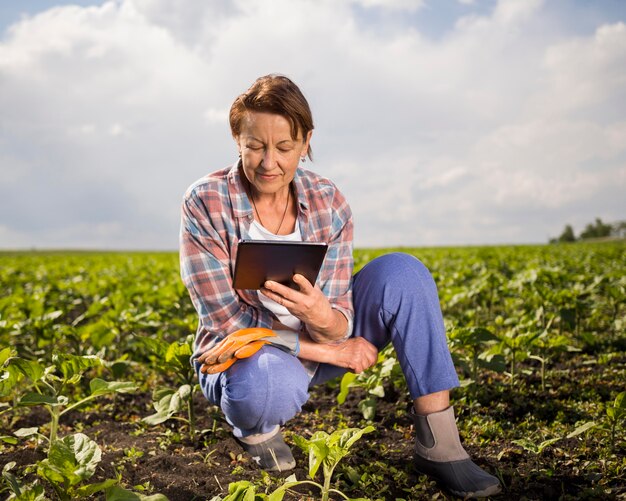 농업하는 동안 그녀의 태블릿을보고 여자