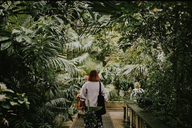 Free Photo woman, moody nature photo, aesthetic greenhouse